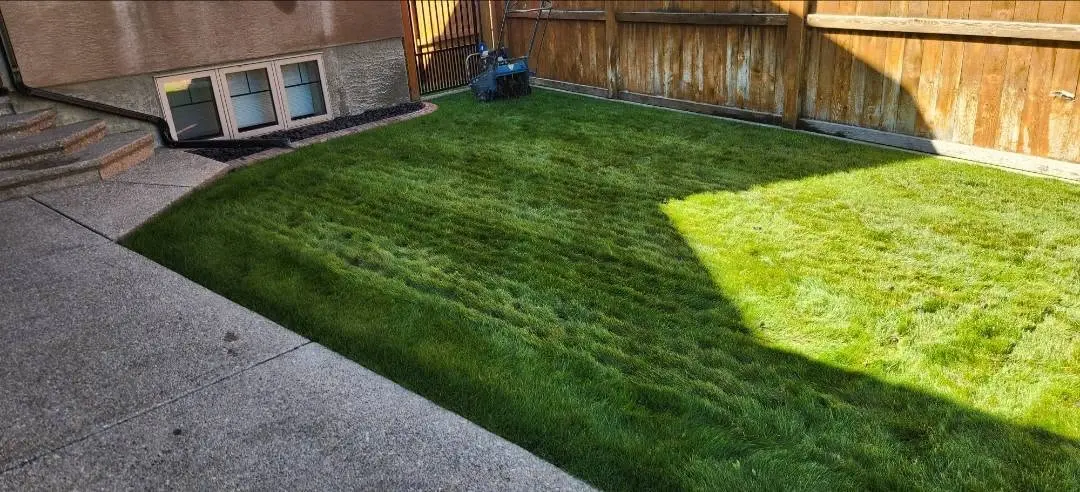 Residential lawn after seasonal lawn care