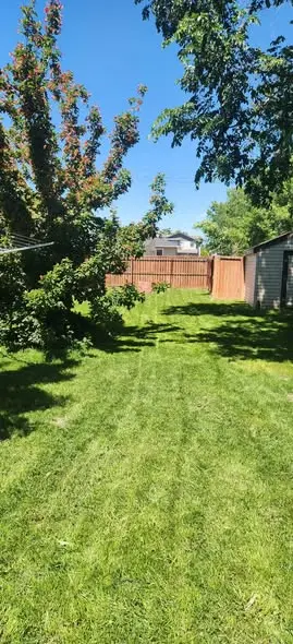 Freshly mowed residential lawn in Lethbridge