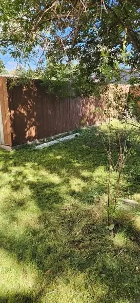 Same yard after cleanup